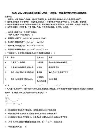 2025-2026学年湖南省衡阳八中高一化学第一学期期中学业水平测试试题含解析