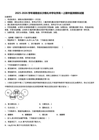 2025-2026学年湖南省长沙雅礼中学化学高一上期中监测模拟试题含解析