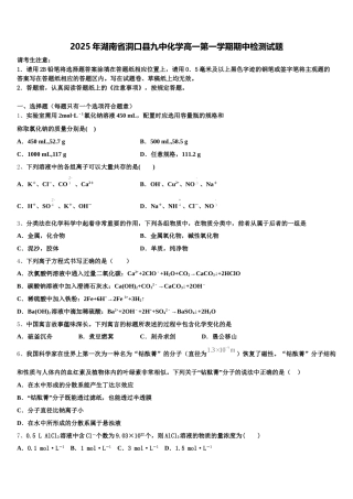 2025年湖南省洞口县九中化学高一第一学期期中检测试题含解析