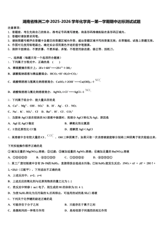 湖南省株洲二中2025-2026学年化学高一第一学期期中达标测试试题含解析
