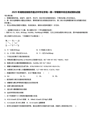 2025年湖南省衡阳市重点中学化学高一第一学期期中综合测试模拟试题含解析