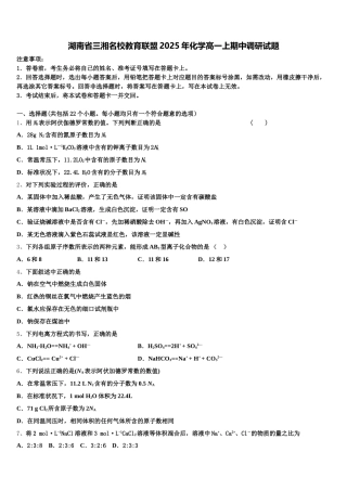 湖南省三湘名校教育联盟2025年化学高一上期中调研试题含解析