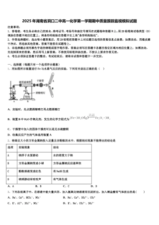 2025年湖南省洞口二中高一化学第一学期期中质量跟踪监视模拟试题含解析