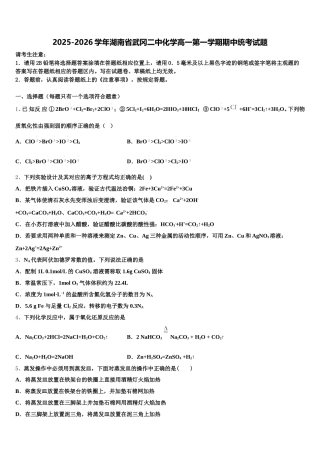 2025-2026学年湖南省武冈二中化学高一第一学期期中统考试题含解析