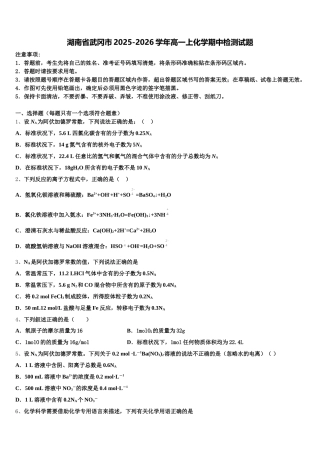 湖南省武冈市2025-2026学年高一上化学期中检测试题含解析