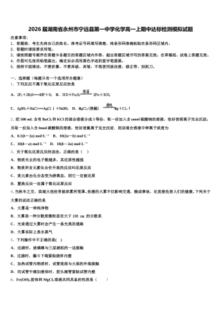 2026届湖南省永州市宁远县第一中学化学高一上期中达标检测模拟试题含解析