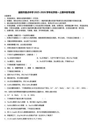 益阳市重点中学2025-2026学年化学高一上期中统考试题含解析