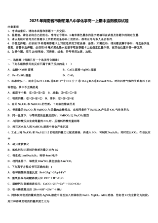 2025年湖南省市衡阳第八中学化学高一上期中监测模拟试题含解析
