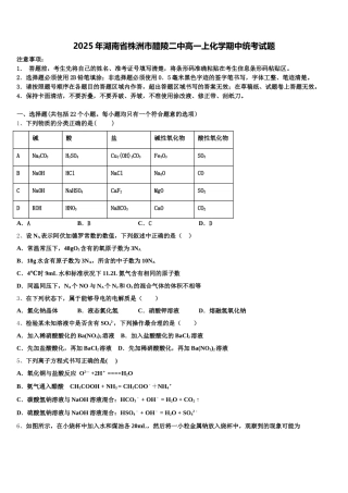 2025年湖南省株洲市醴陵二中高一上化学期中统考试题含解析