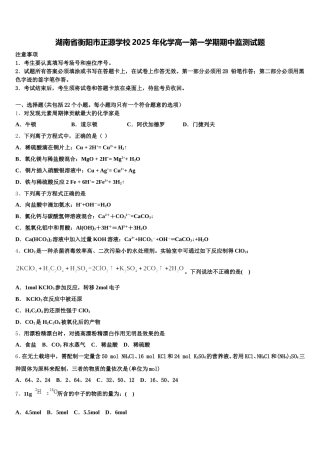 湖南省衡阳市正源学校2025年化学高一第一学期期中监测试题含解析