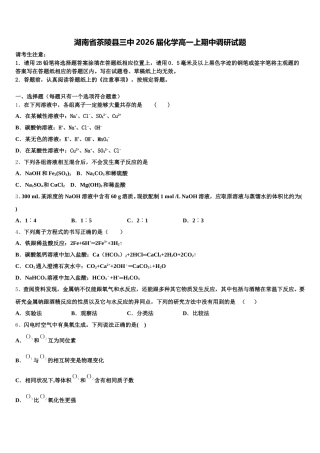 湖南省茶陵县三中2026届化学高一上期中调研试题含解析
