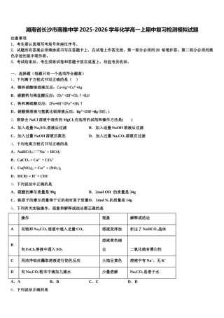 湖南省长沙市南雅中学2025-2026学年化学高一上期中复习检测模拟试题含解析