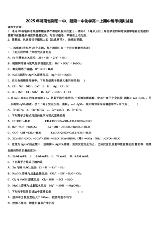 2025年湖南省浏阳一中、醴陵一中化学高一上期中统考模拟试题含解析