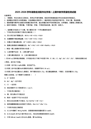 2025-2026学年湖南省浏阳市化学高一上期中教学质量检测试题含解析