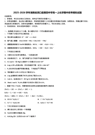 2025-2026学年湖南省洞口县第四中学高一上化学期中统考模拟试题含解析