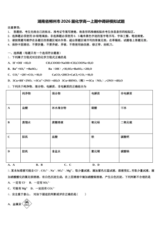 湖南省郴州市2026届化学高一上期中调研模拟试题含解析