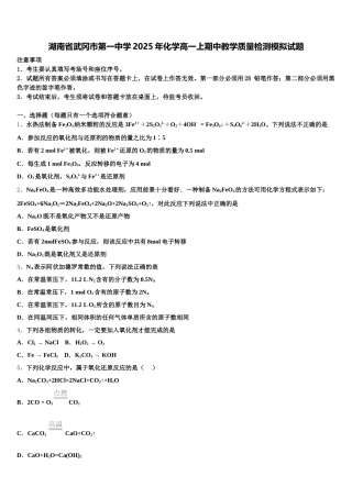 湖南省武冈市第一中学2025年化学高一上期中教学质量检测模拟试题含解析