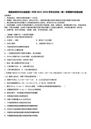 湖南省郴州市汝城县第一中学2025-2026学年化学高一第一学期期中经典试题含解析