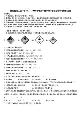 湖南省桃江县一中2025-2026学年高一化学第一学期期中联考模拟试题含解析