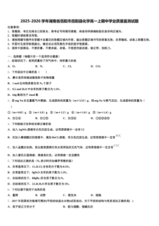 2025-2026学年湖南省岳阳市岳阳县化学高一上期中学业质量监测试题含解析