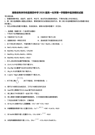 湖南省株洲市攸县第四中学2026届高一化学第一学期期中监测模拟试题含解析