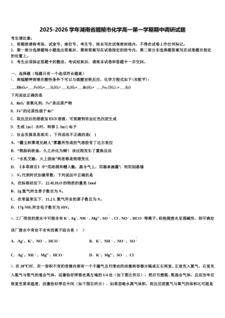 2025-2026学年湖南省醴陵市化学高一第一学期期中调研试题含解析