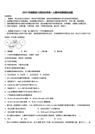 2025年湖南省十四校化学高一上期中经典模拟试题含解析