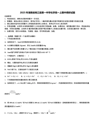 2025年湖南省桃江县第一中学化学高一上期中调研试题含解析