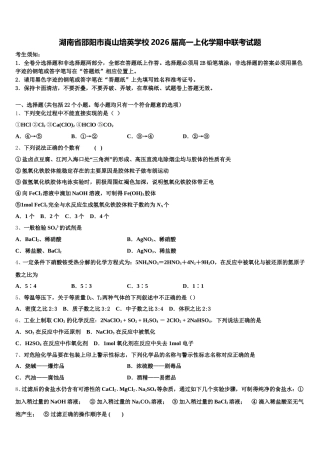 湖南省邵阳市崀山培英学校2026届高一上化学期中联考试题含解析