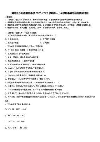 湖南省永州市第四中学2025-2026学年高一上化学期中复习检测模拟试题含解析