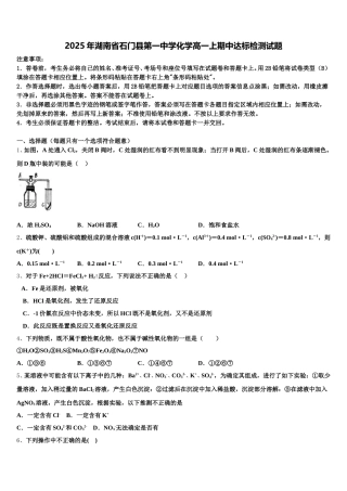2025年湖南省石门县第一中学化学高一上期中达标检测试题含解析
