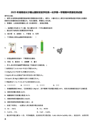 2025年湖南省长沙麓山国际实验学校高一化学第一学期期中质量检测试题含解析