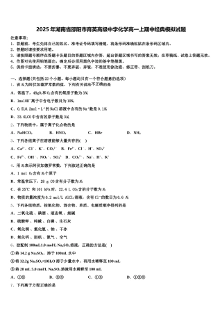 2025年湖南省邵阳市育英高级中学化学高一上期中经典模拟试题含解析