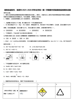 湖南省益阳市、湘潭市2025-2026学年化学高一第一学期期中质量跟踪监视模拟试题含解析
