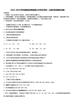 2025-2026学年湖南省茶陵县第三中学化学高一上期中检测模拟试题含解析