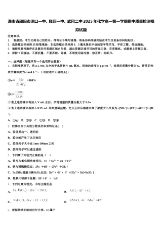 湖南省邵阳市洞口一中、隆回一中、武冈二中2025年化学高一第一学期期中质量检测模拟试题含解析