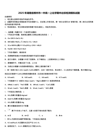 2025年湖南省郴州市一中高一上化学期中达标检测模拟试题含解析