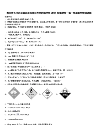 湖南省长沙市岳麓区湖南师范大学附属中学2025年化学高一第一学期期中检测试题含解析