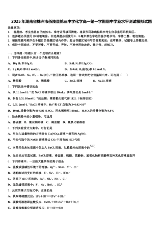2025年湖南省株洲市茶陵县第三中学化学高一第一学期期中学业水平测试模拟试题含解析