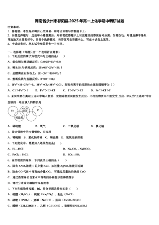 湖南省永州市祁阳县2025年高一上化学期中调研试题含解析