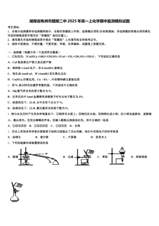 湖南省株洲市醴陵二中2025年高一上化学期中监测模拟试题含解析