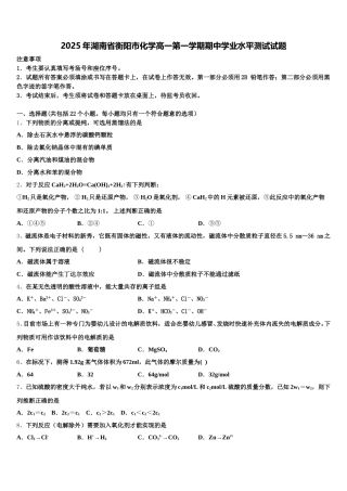 2025年湖南省衡阳市化学高一第一学期期中学业水平测试试题含解析
