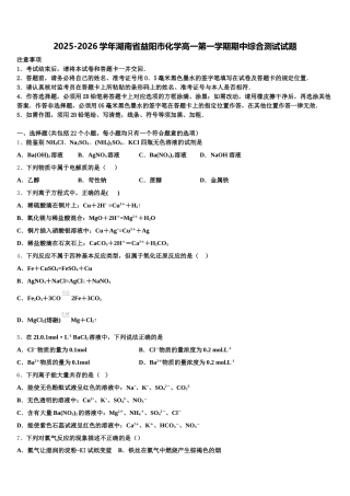 2025-2026学年湖南省益阳市化学高一第一学期期中综合测试试题含解析