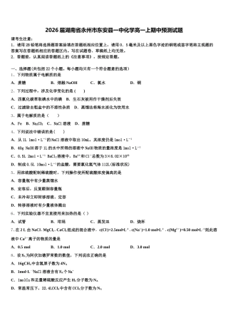 2026届湖南省永州市东安县一中化学高一上期中预测试题含解析