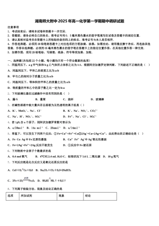 湖南师大附中2025年高一化学第一学期期中调研试题含解析