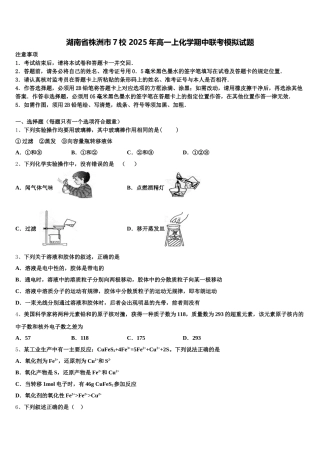 湖南省株洲市7校 2025年高一上化学期中联考模拟试题含解析