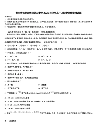 湖南省株洲市攸县第三中学2025年化学高一上期中经典模拟试题含解析