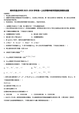 郴州市重点中学2025-2026学年高一上化学期中教学质量检测模拟试题含解析