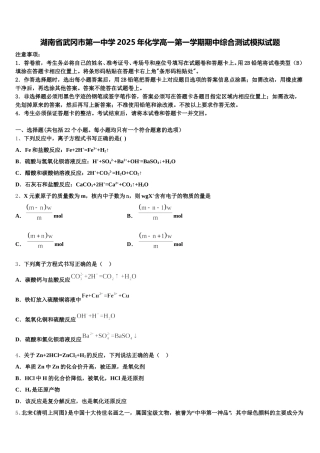 湖南省武冈市第一中学2025年化学高一第一学期期中综合测试模拟试题含解析