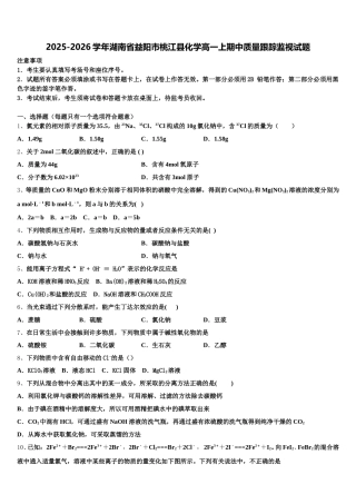 2025-2026学年湖南省益阳市桃江县化学高一上期中质量跟踪监视试题含解析